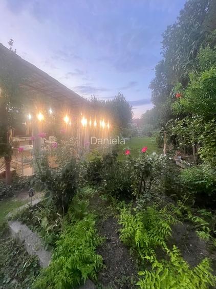 Oradea casa situata central pentru afacere sau locuinta - 8