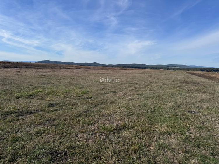 Teren de vanzare in Harman 4,4 Hectare - 5