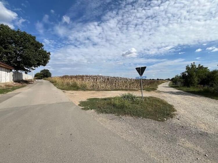 Terenuri pentru constructie rezidentiala Moara Vlasiei, 10 min de Bucuresti - 2