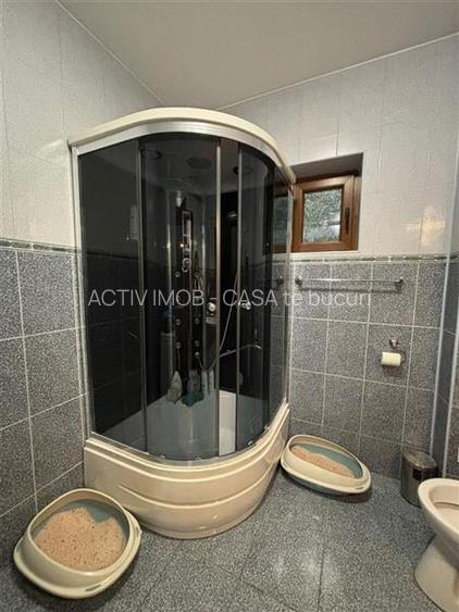 Vila Premium, Robusta, Versatila, Colentina (Parc Plumbuita) - 25