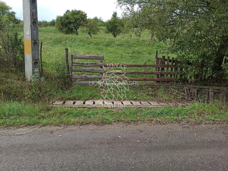 Teren intravilan 12600 mp-utilitati-ideal case, investitie-Livezile - 4