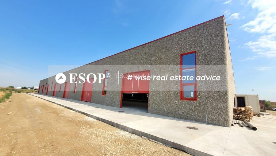 Hale industriale, parc modern, Rudeni, Chitila, Ilfov- ID 15462 - 17