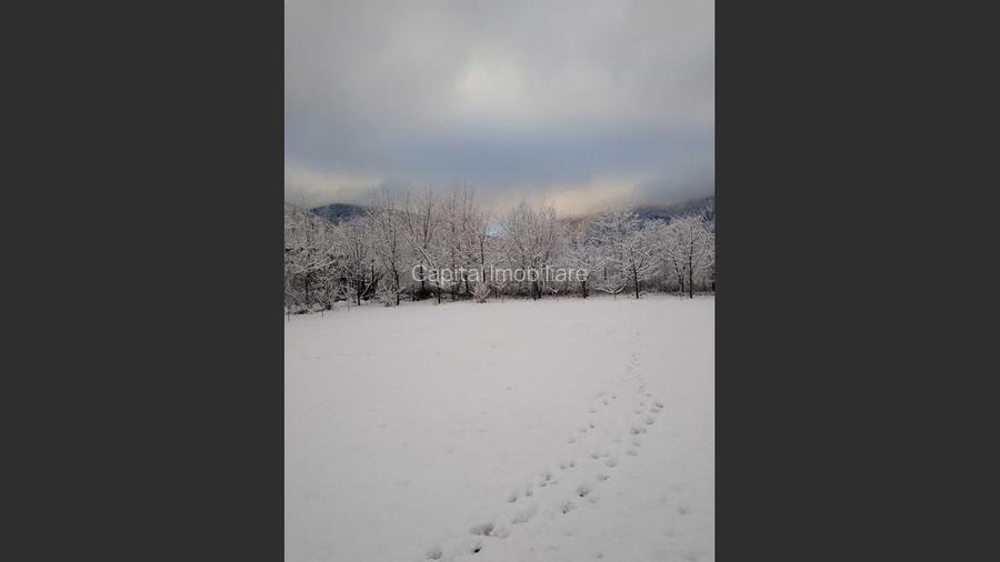 House for sale, 5 Rooms, 180 sqm, Valea Dejani - 10