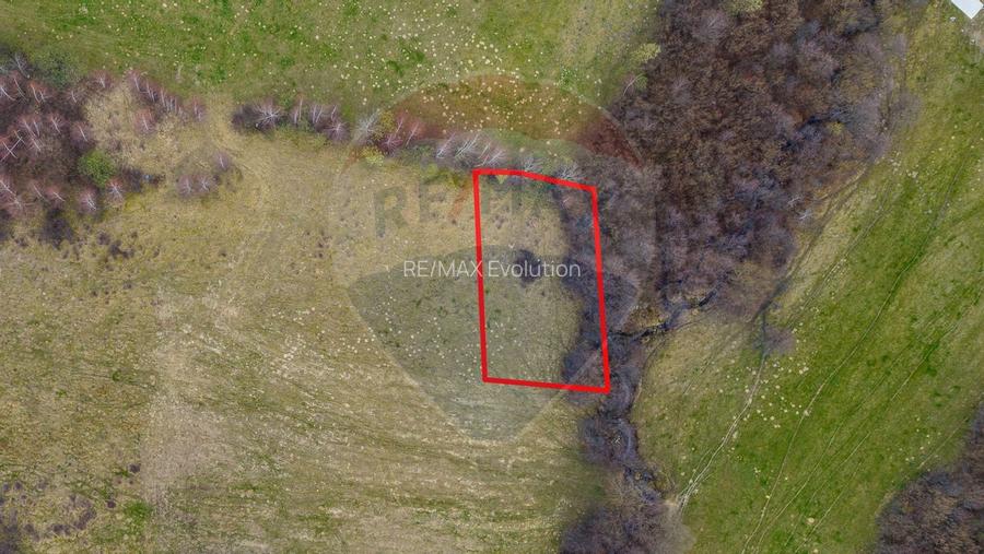 COMISION 0%| DE VANZARE| 480MP| INTRAVILAN| PRIVELISTE+LINISTE| - 3