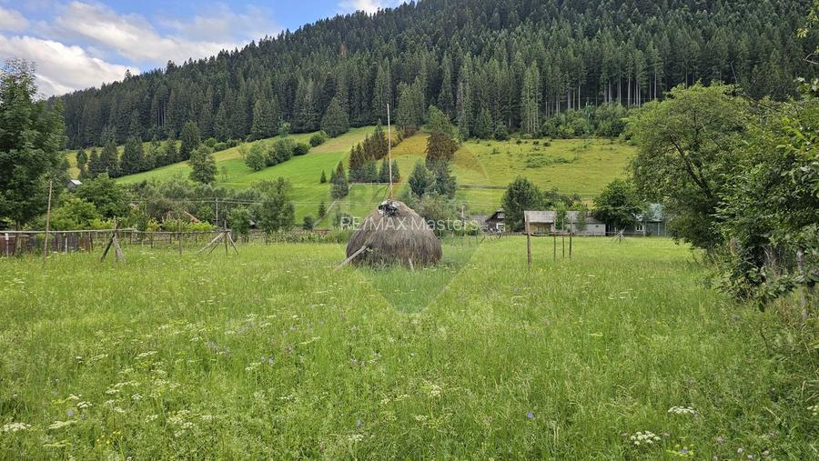 Casa 225 mp, teren intravilan 4822 mp C. Moldovenesc, Suceava - 29