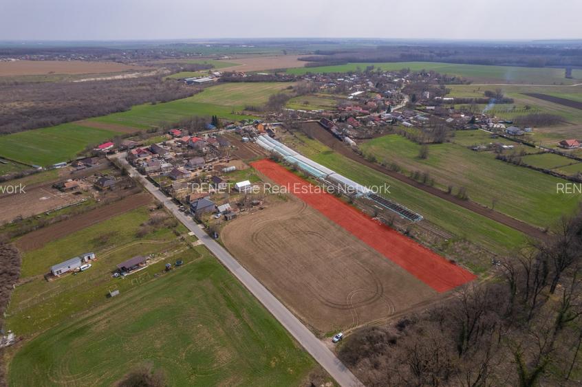 NUCI - BALTA NEAGRA, LOT 3080 MP, LA PADURE! - 3