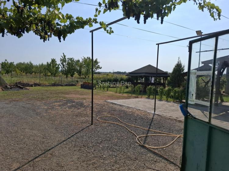 Se vinde casă + teren generos în comuna Acîș (aprox. 38 km de Satu Mare) - 11