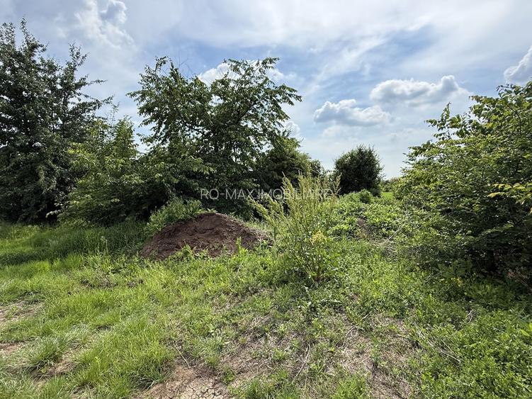 Teren intravilan 498,02 mp langa pădure , strada privata Corbeanca - 7