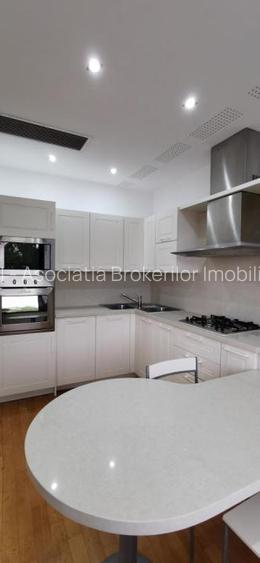 Dorobanti Penthouse supr. 235mp terasa 130mp - 15