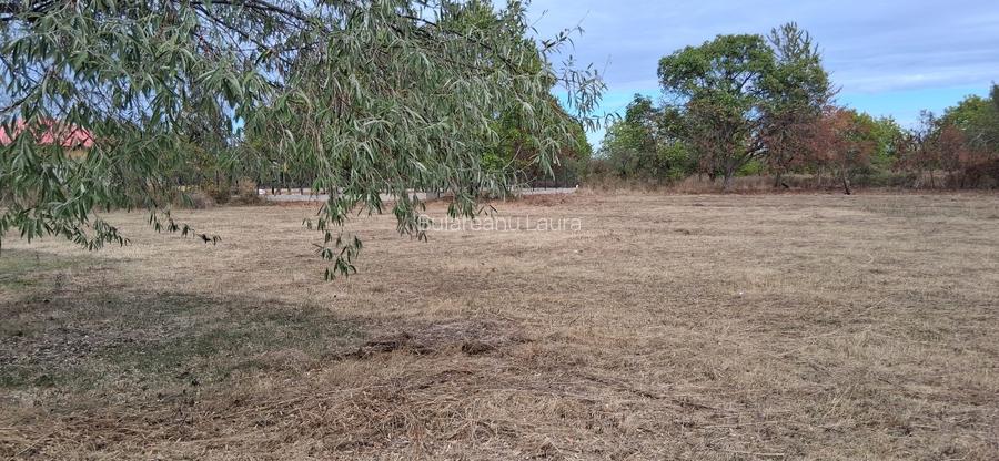 Teren intravilan 836 mp , deschidere 24 ml , zona linistita - 2
