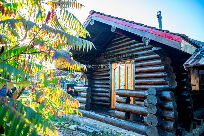  Oportunitate de Investitie! Afacere la Cheie in Turism – Disponibila Acum! - 16