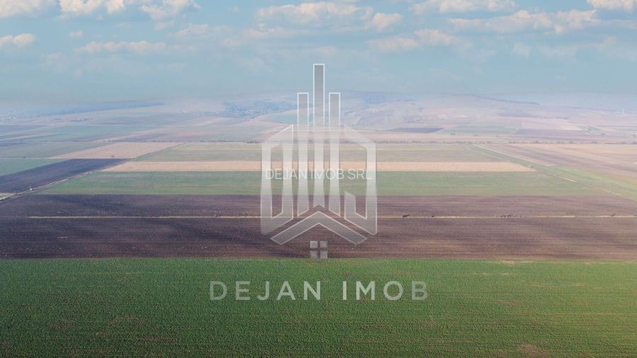 5 Ha | Teren extravilan | Langa Fabrica Reci - 4