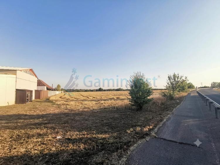 Teren intravilan de vanzare 9800 mp, Salonta, Bihor