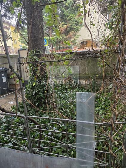 Vanzare Vila P+1 Doamna Ghica - 13