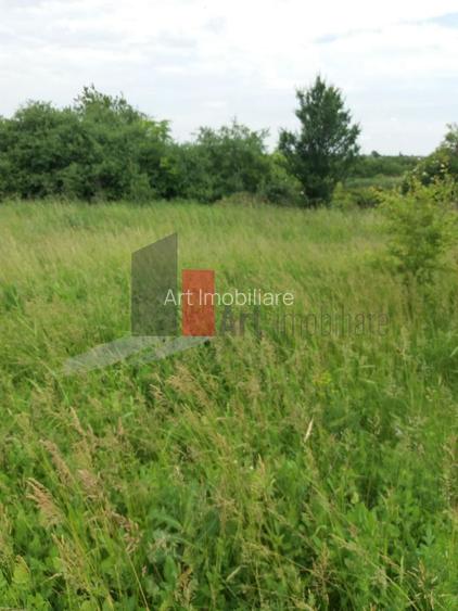 Teren Buftea cu iesire la lac - 31