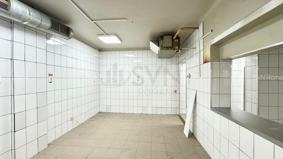 REV2004582 Spatiu pentru activitati comerciale I Laborator - Spatiu productie I - 6