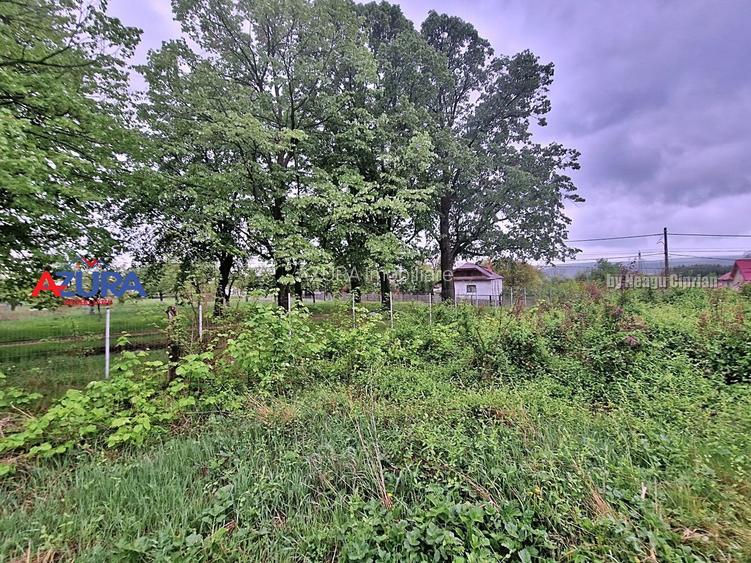 AZURA Imobiliare - Budeasa, Teren 5.069 mp, Casa BONUS - 12