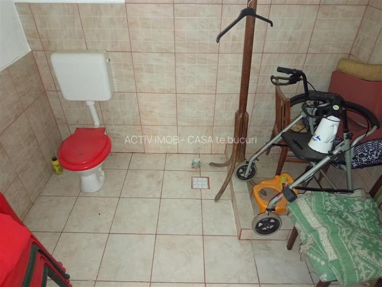 Bradisoru de Jos, Casa 14 Incaperi + Teren 1439MP - 20