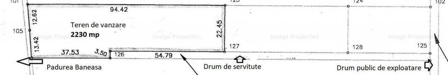 Teren Voluntari Padurea Baneasa - 2