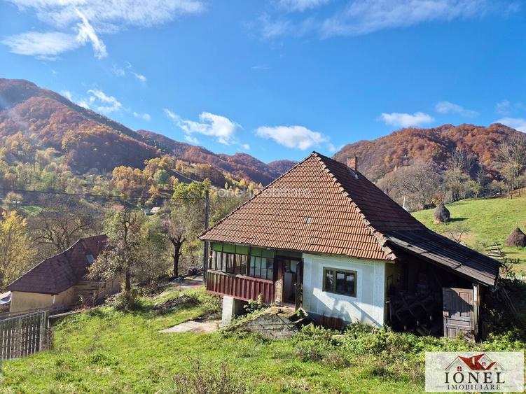 Casa de vanzare in Trampoiele (Zlatna) - 2