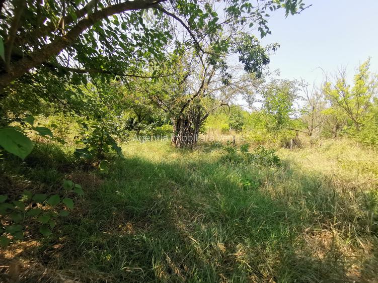 Casa batraneasca la Buzeni - 7