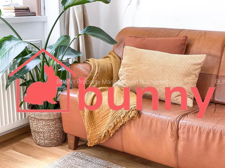 COZY STUDIO ARMENEASCA - 2