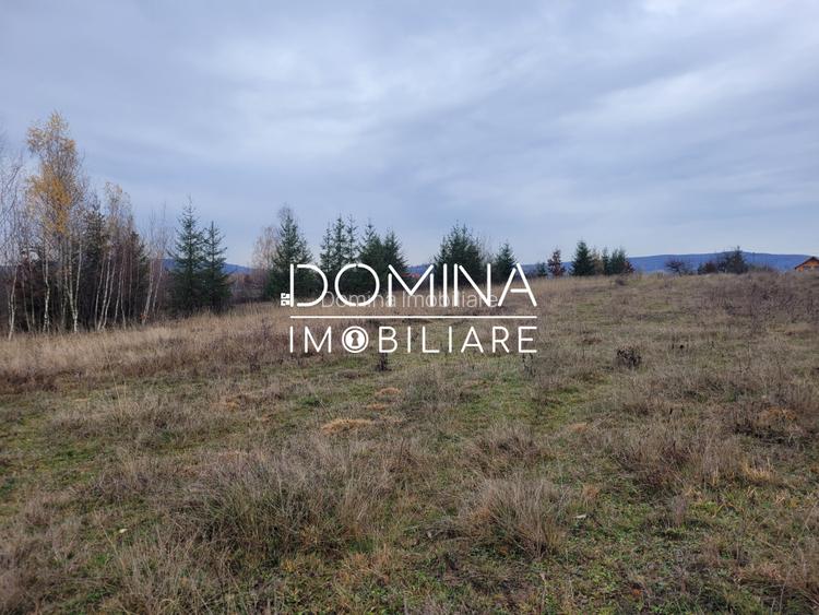 Vanzare teren 5000 mp, in comuna Crasna - sat Aninisul din Deal - 7