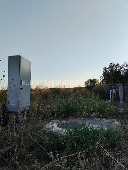 Ciolpani, spre Izvorani - COR, vanzare teren 5000mp. - 2