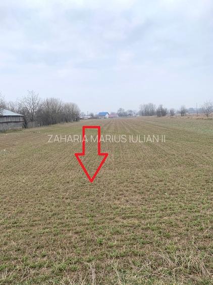 Teren de vanzare 7.123 mp intravilan, Buhusi - 11