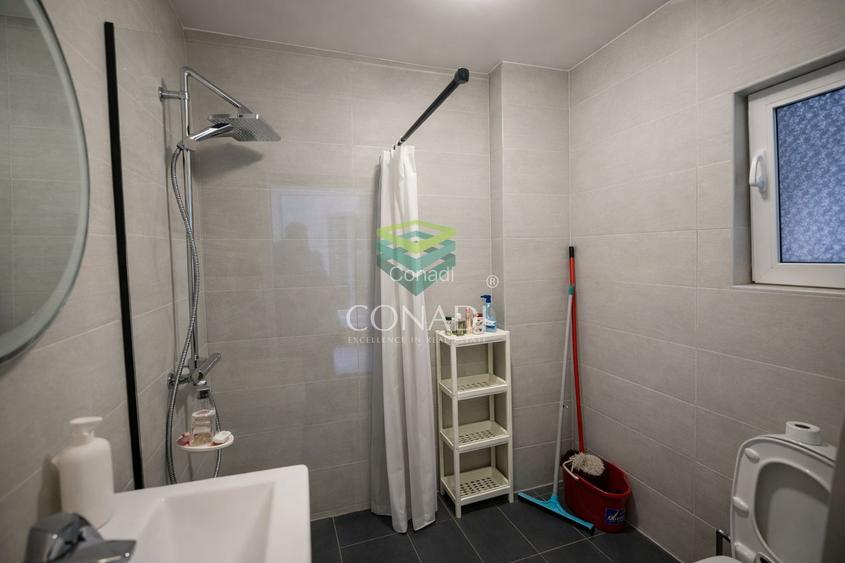 Casa la curte zona Timpuri Noi Vitan - 23