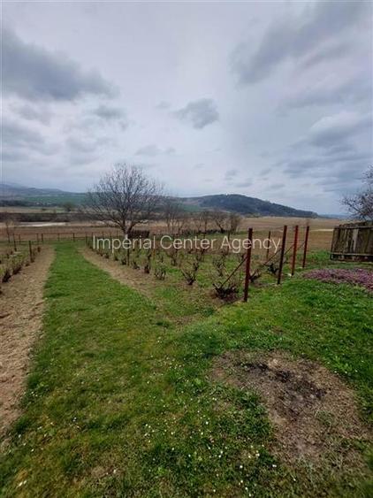 Casa de vanzare cu gradina aproape de Onesti - 9