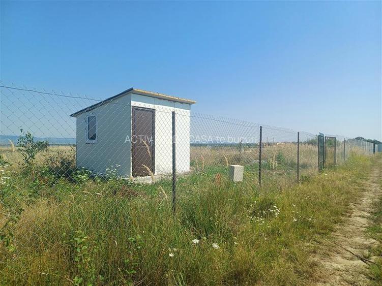 Teren intravilan de vanzare cu fantana si curent electric pe teren - 4