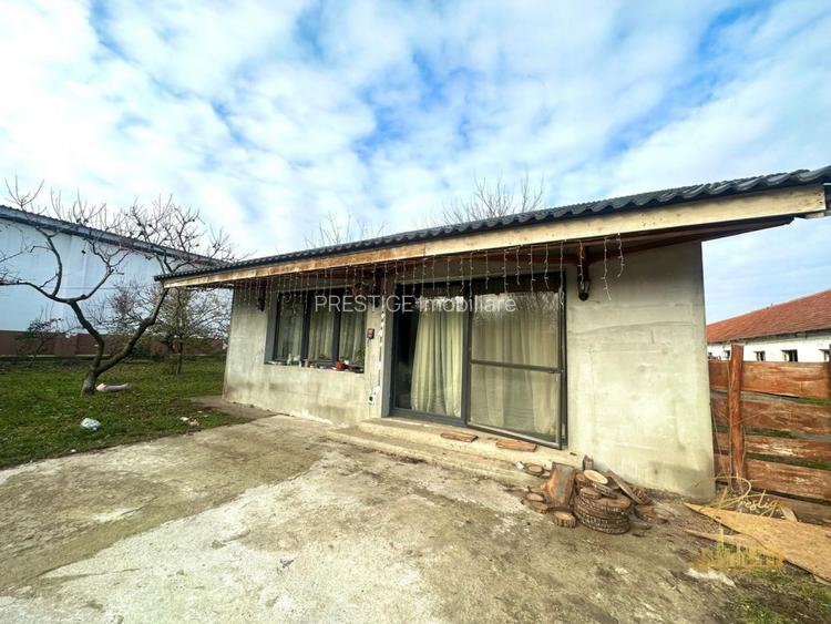 Domeniu - Centru de colectare, 7 ha de vanzare in Valea lui Mihai - 58