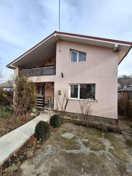 CASA INDIVIDUALA  in sat VLADICENI com. TOMESTI - 28