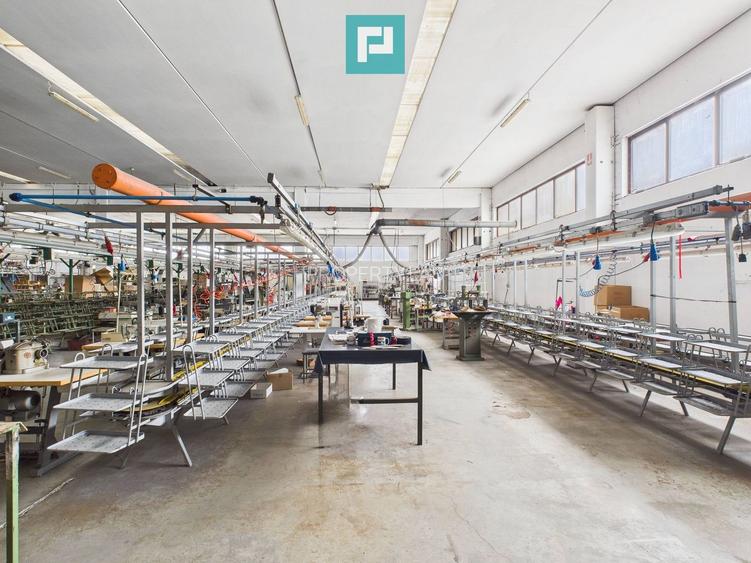 Hală de producție, cu birouri și teren, în Sebiș - 10