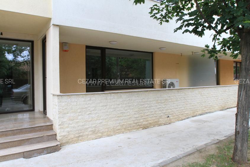 HERASTRAU SOSEAUA NORDULUI STUDIO PREMIUM CU TERASA GENEROASA - 2