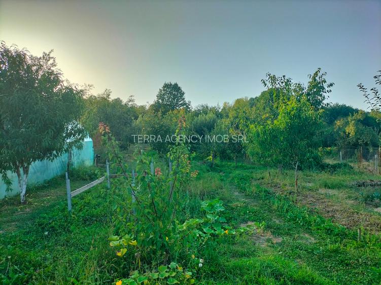 Casă la țară cu livadă, grădină și aer curat - Vulturești, Argeș - 9