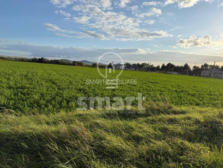 Teren Bistrita Valea Jelnei 19 eur mp - 4