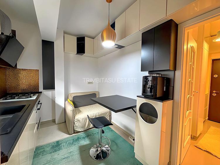 Sector 3 1 Decembrie 1918 garsoniera decomandata 40mp mobilata et 2/3 - 9