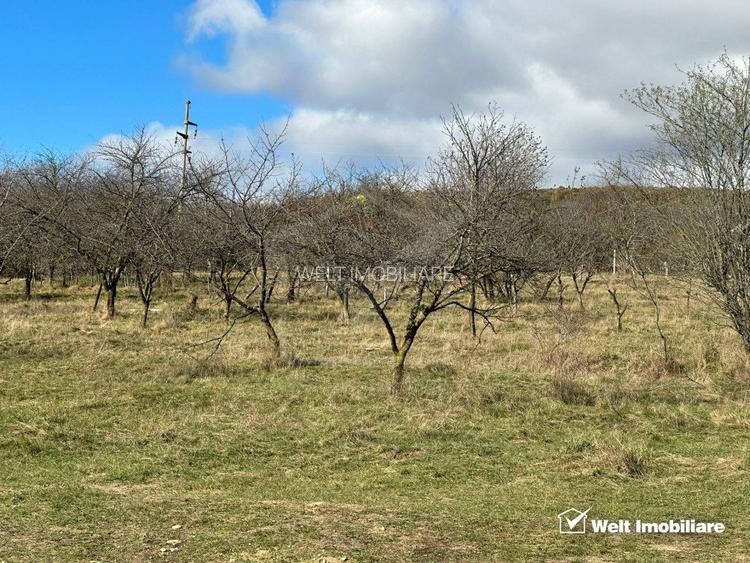 Teren Dambu Rotund 4750 mp, intravilan, UTR TDA_L, posibilitate investitie - 3