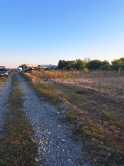 Teren intravilan Steaua de mare 2 - 3