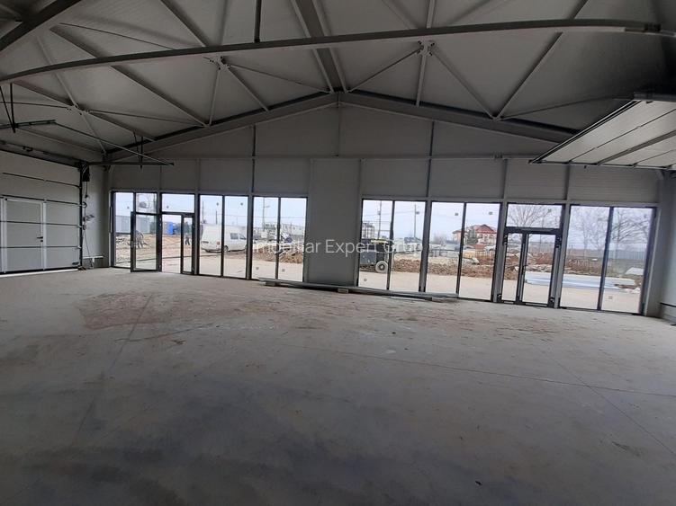 Hale cu suprafete intre 100-560mp in zona Drumul Intre Tarlale - 3