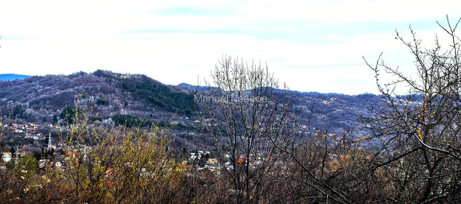 Teren Breaza 2623mp , pot 35% , cut 1,2 conform cert urb.intravilan - 4