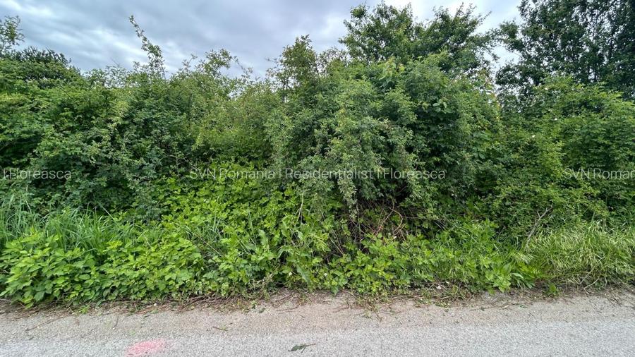 REL4001302 Teren sector 1 Centura DN1 Padurea Baneasa - 2