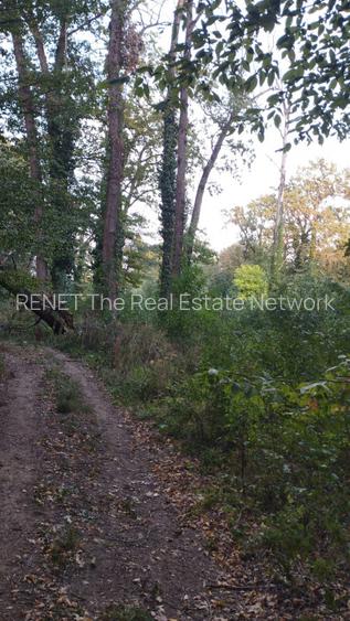 SUPER  OCAZIE TEREN 4000MP DE VANZARE IN SNAGOV CU DESCHIDERE LA LACUL SNAGOV - 7