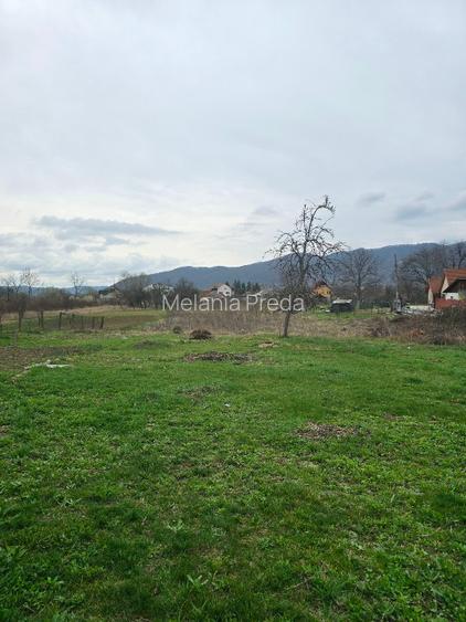 Teren si casa batraneasca Calimanesti - 8