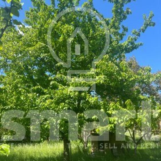 Teren cu autorizatie casa individuala Borhanci - Soporului - 4