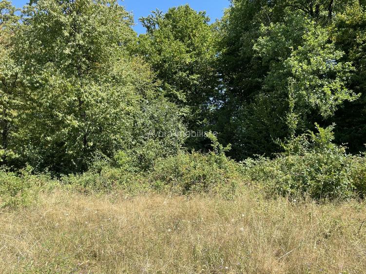 Teren Extravilan în mijlocul naturii. - 23