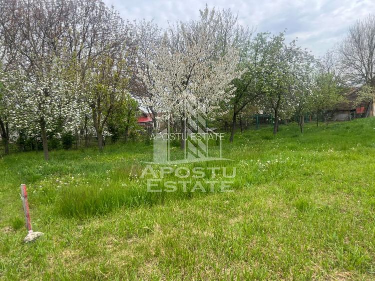 Teren de vanzare, 1001 mp, vatra veche, in Sanandrei, Timis - 2