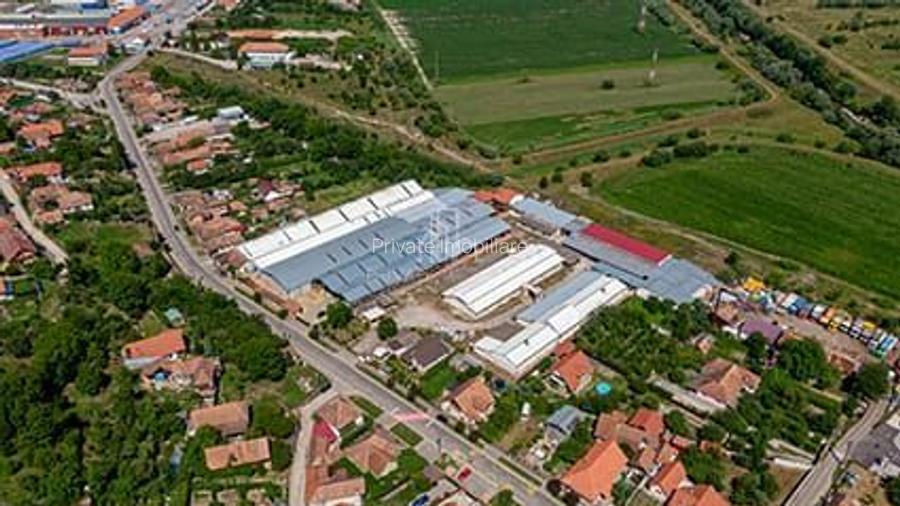 Teren + hale industriale 8785mp + casă–Oportunitate investiție / producție – - 2